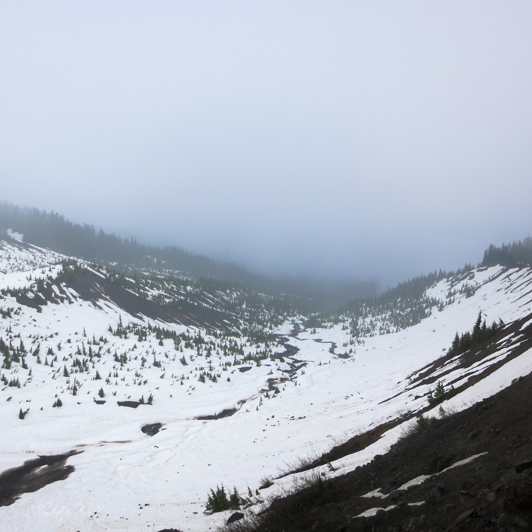 My Travels and Photos 6 Day Mountaineering Course Mount Baker image 58