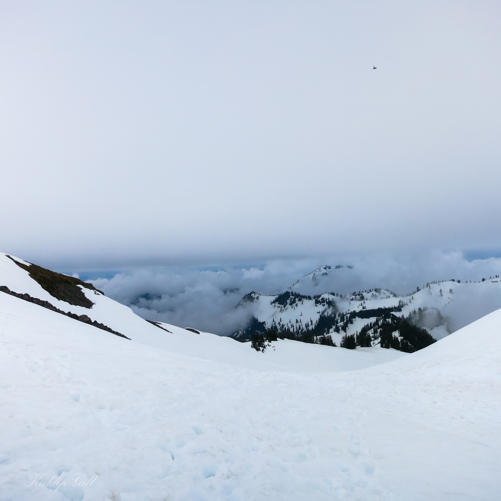 My Travels and Photos 6 Day Mountaineering Course Mount Baker image 19