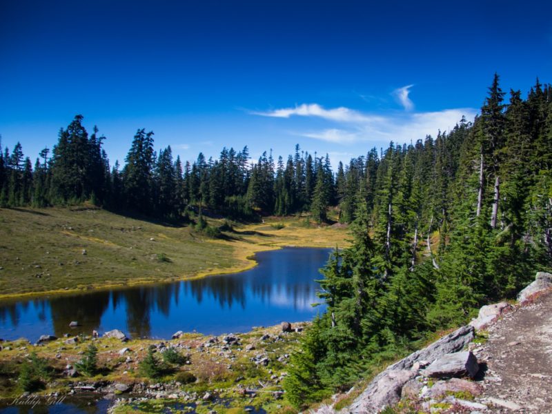 Chain Lakes Hike Mount Baker